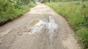Kondisi Jalan Pagaden-Balingbing yang melintasi Desa Cidadap, Subang (dok. KM)