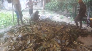 Keluarga besar Makikebo yang tergabung dalam panitia konferensi rayon Jayapura saat bakar batu, Sabtu, 30 Oktober 2020 (dok. KM)