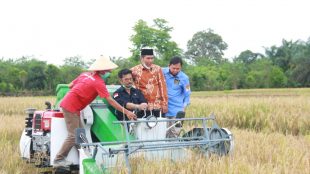 Mentan RI Syahrul Yasin Limpo saat Panen Raya di Kabupaten Seluma Provinsi Bengkulu Kamis,(3/12/2020)