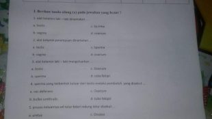 Soal ulangan di SDN Kedung Badak 2 yang dinilai berbau porno (dok. KM)
