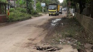Ruas Jalan Desa Parigimulya-Desa Tanjung, Kec. Cipunagara, Kab. Subang (dok. KM)