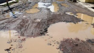 Ruas Jalan Sukareja-Mariuk Kecamatan Sukasari, Subang (dok. KM)