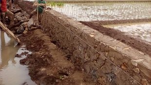 Rehabilitasi saluran irigasi tersier Blok Tegal Salam di Desa Cidadap, Kecamatan Pagaden Barat, Subang (dok. KM)