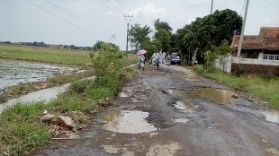 Ruas Jalan Wates-Jatimulya, Kabupaten Subang (dok. KM)