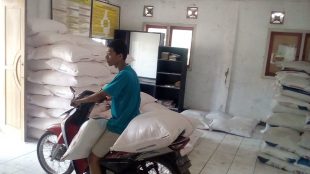 Petani mengambil pupuk di Kantor Desa Kosambi, Kecamatan Cipunagara, Subang (dok. KM)
