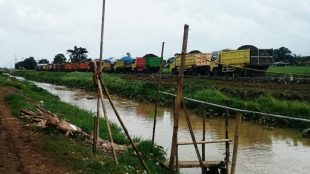 Saluran irigasi SS Macan, Subang(dok. KM)
