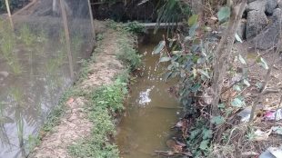 Pekerjaan TPT di Kp. Sumur Sapi RT 16 RW 03 Desa Kediri, Kecamatan Binong, Subang yang belum direalisasikan (dok. KM)