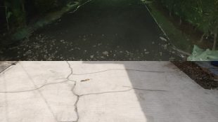 Lokasi pengecoran jalan di Bumyagara RW 33 dan Blok N24 RW 29 (dok. KM)