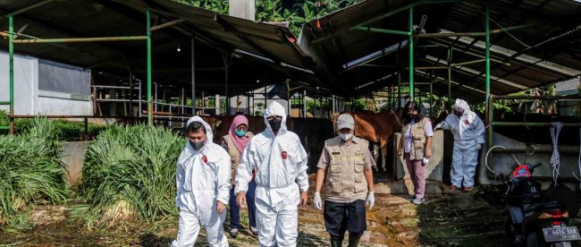 Wali Kota Bogor Bima Arya bersama beberapa pejabat melaksanakan inspeksi ke RPH Bubulak, Kota Bogor, Selasa (21/6).